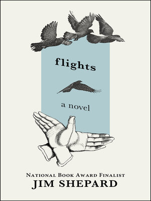 cover image of Flights